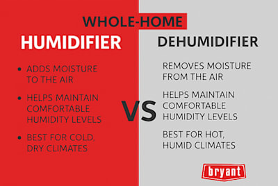 What is the Difference between a Humidifier And Dehumidifier? Explained Clearly