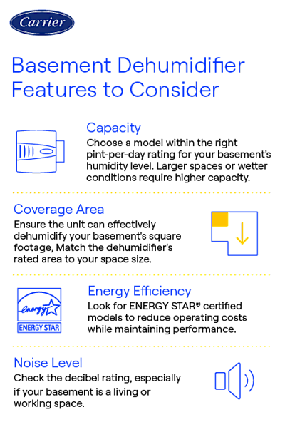 What Features Should I Look for in a Dehumidifier? Top Picks
