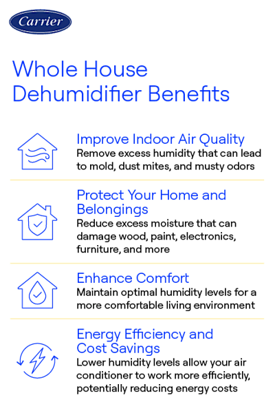 Can a Dehumidifier Help Protect Furniture from Moisture Damage? Essential Tips