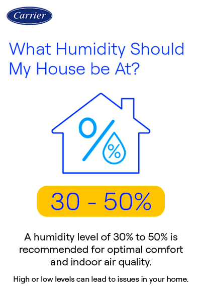 Room-by-room guide to ideal humidity levels for home