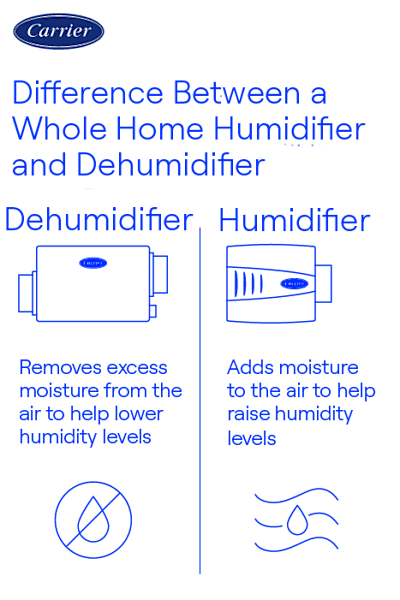 Does a Humidifier Help With Static Electricity? Surprising Benefits!