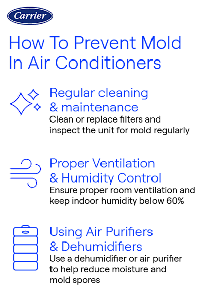 How to Remove Mold from Air Conditioner Ducts: Easy & Effective Steps