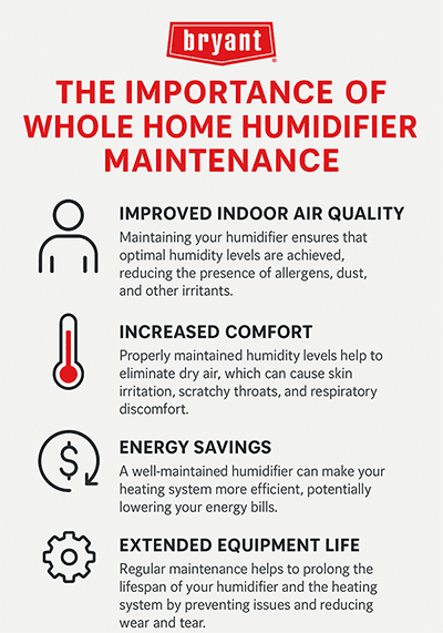 How to Clean Humidifier Correctly: Ultimate Guide for Fresh Air