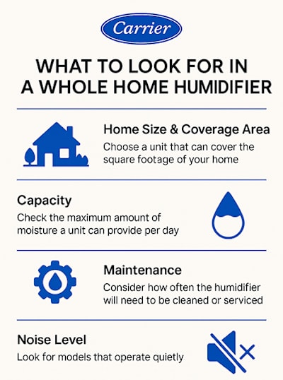 How Long for a Humidifier to Work: Quick Tips for Fast Relief