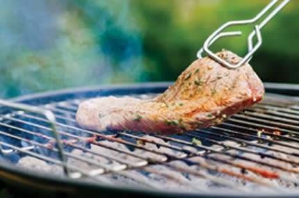 MobileAlerts-GrillFamily-1 MobileAlerts-GrillFamily-1