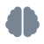 brain