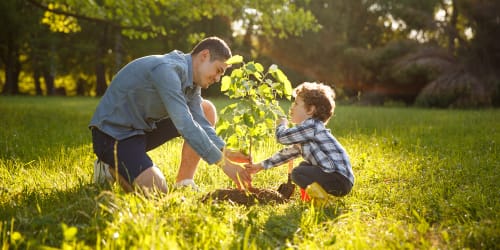 man-and-boy-planting-tree