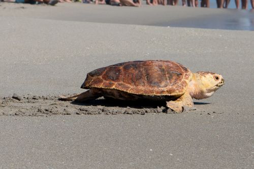 DSC_1952 DSC_1952