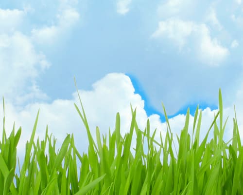 Home Carrier Commercial Refrigeration