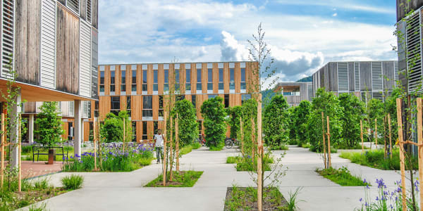 exterior-university-campus-building-with-trees