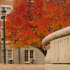 4-commercial-header-HigherEd-2000x400
