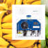 EverFRESH-hero-banner-2021
