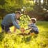 man-and-boy-planting-tree