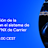 Webinar: Optimizing Cold Chain Logistics with Carrier's Lynx Fleet (Spanish)