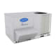 48LC WeatherExpert® rooftop units were designed by customers for customers. They are Carrier’s most efficient commercial packaged rooftop ever produced and have some of the industry’s highest IEER’s available. 