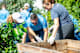volunteer7