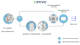 carrier-vector-1550-edrive-diagram-1200x668
