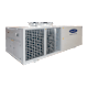 Unite-de-toiture-pompe-a-chaleur-taille-1200-50EH1200V-RTOP280