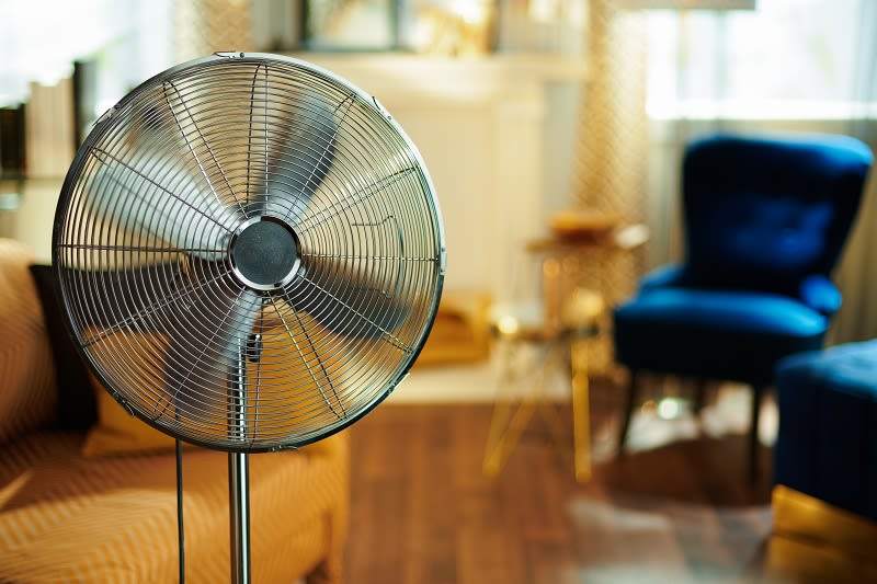 fan-in-living-room fan-in-living-room