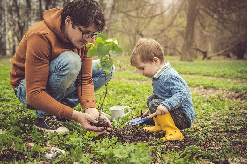 father-son-planting-tree