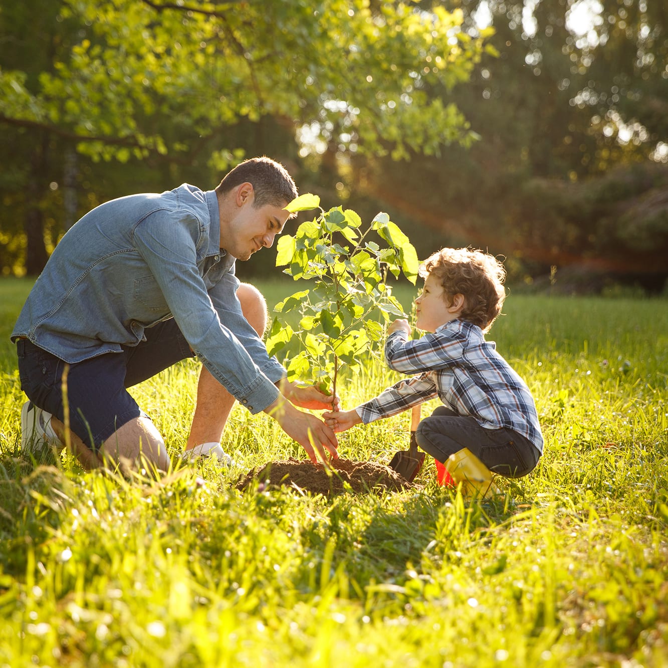 man-and-boy-planting-tree
