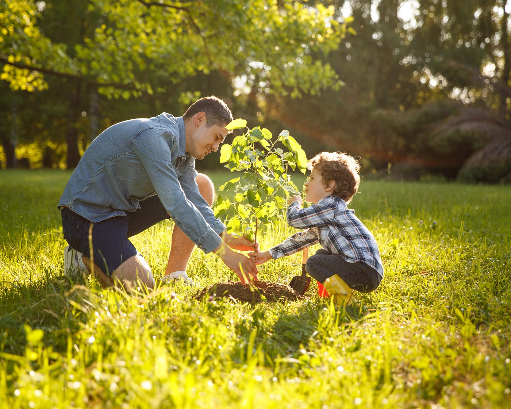 man-and-boy-planting-tree