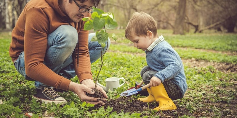 father-son-planting-tree