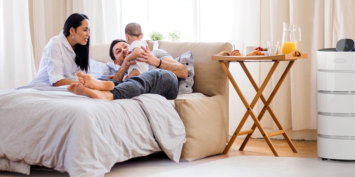carrier-air-purifiers-for-allergies