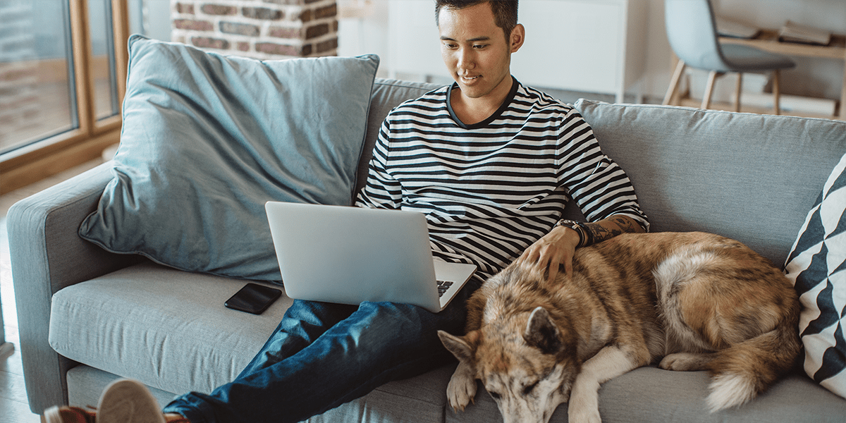 a-man-on-the-couch-with-his-dog-researches-cost-of-a-whole-home-dehumidifier