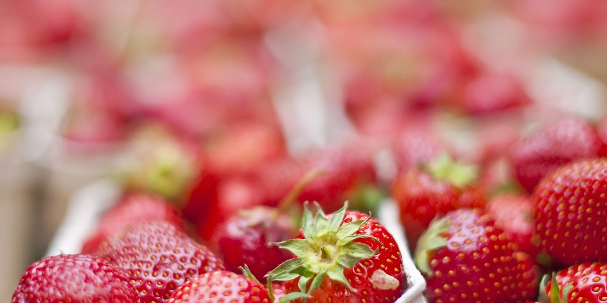 strawberries-in-containers