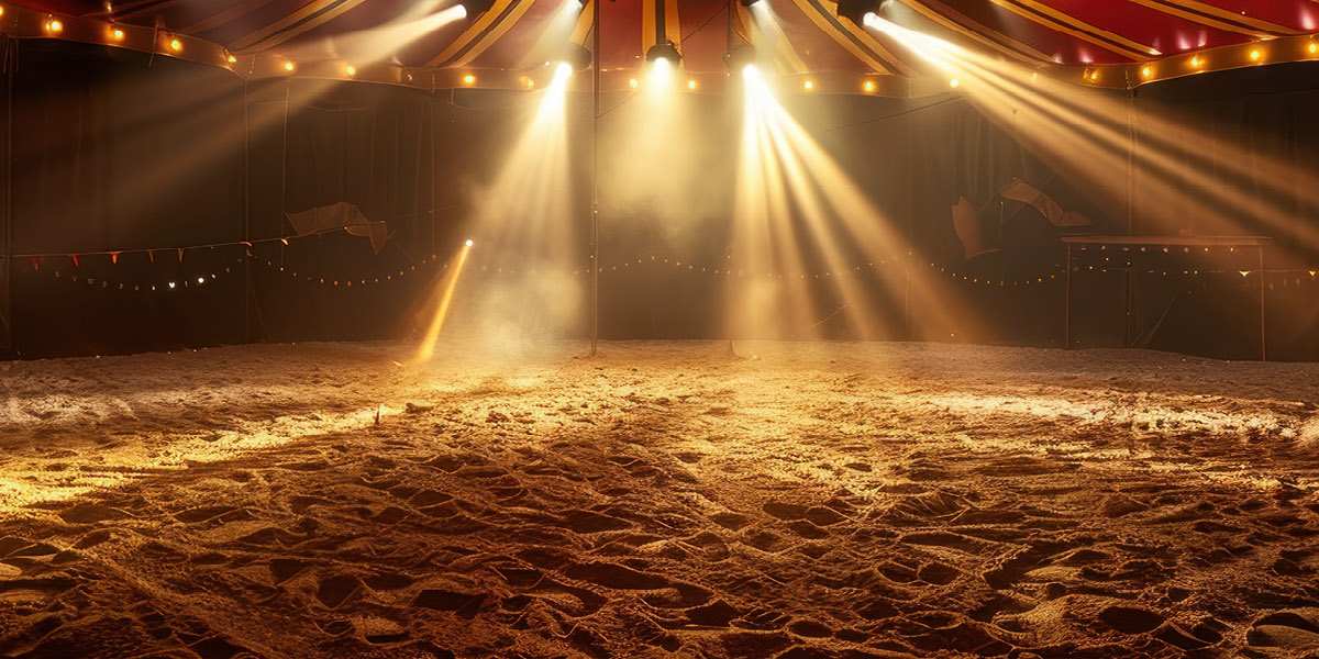 Chapiteaux_et_cirques_Carrier_Rental_banner