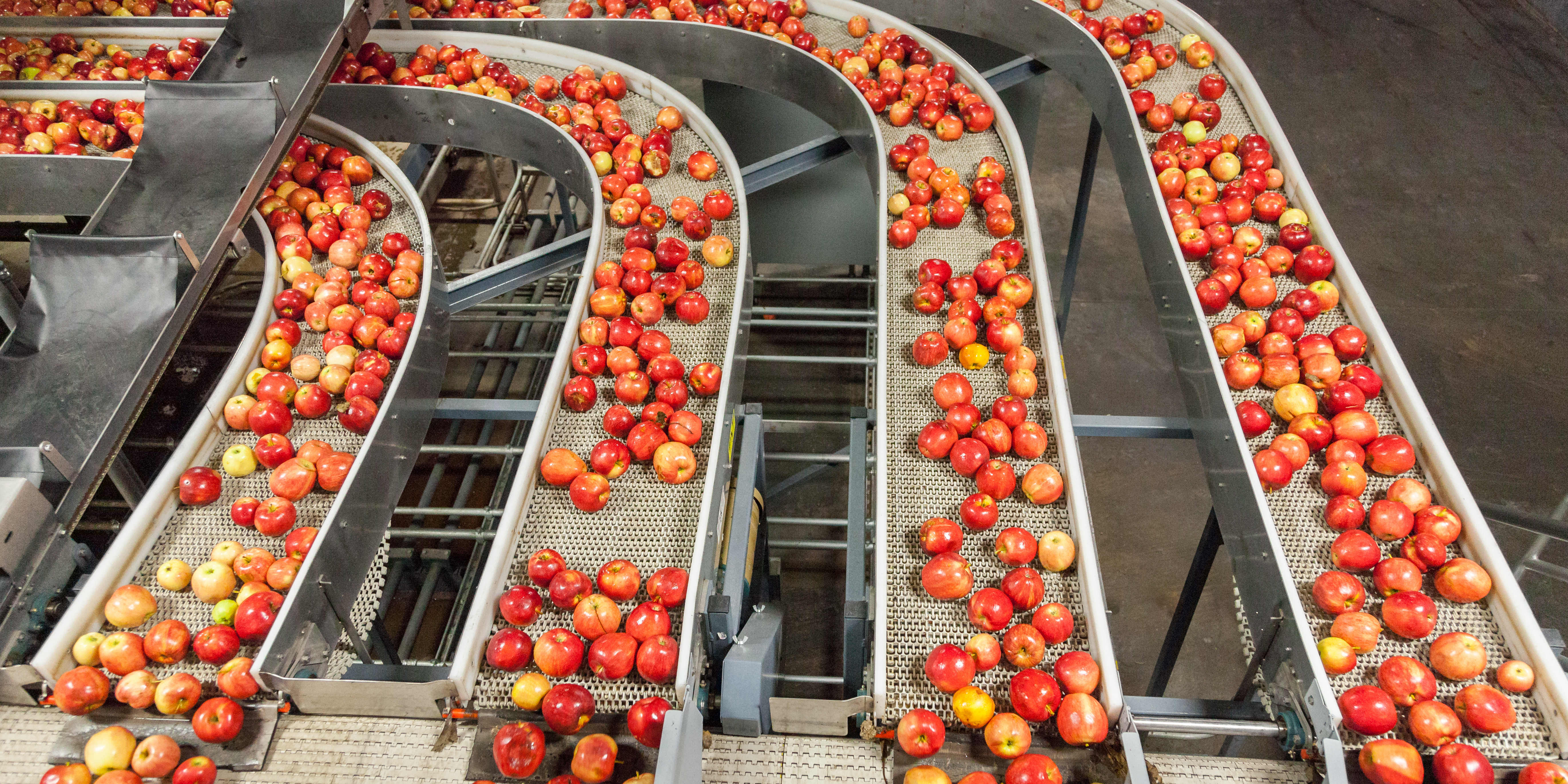 Food_processing_Carrier_Rental_4