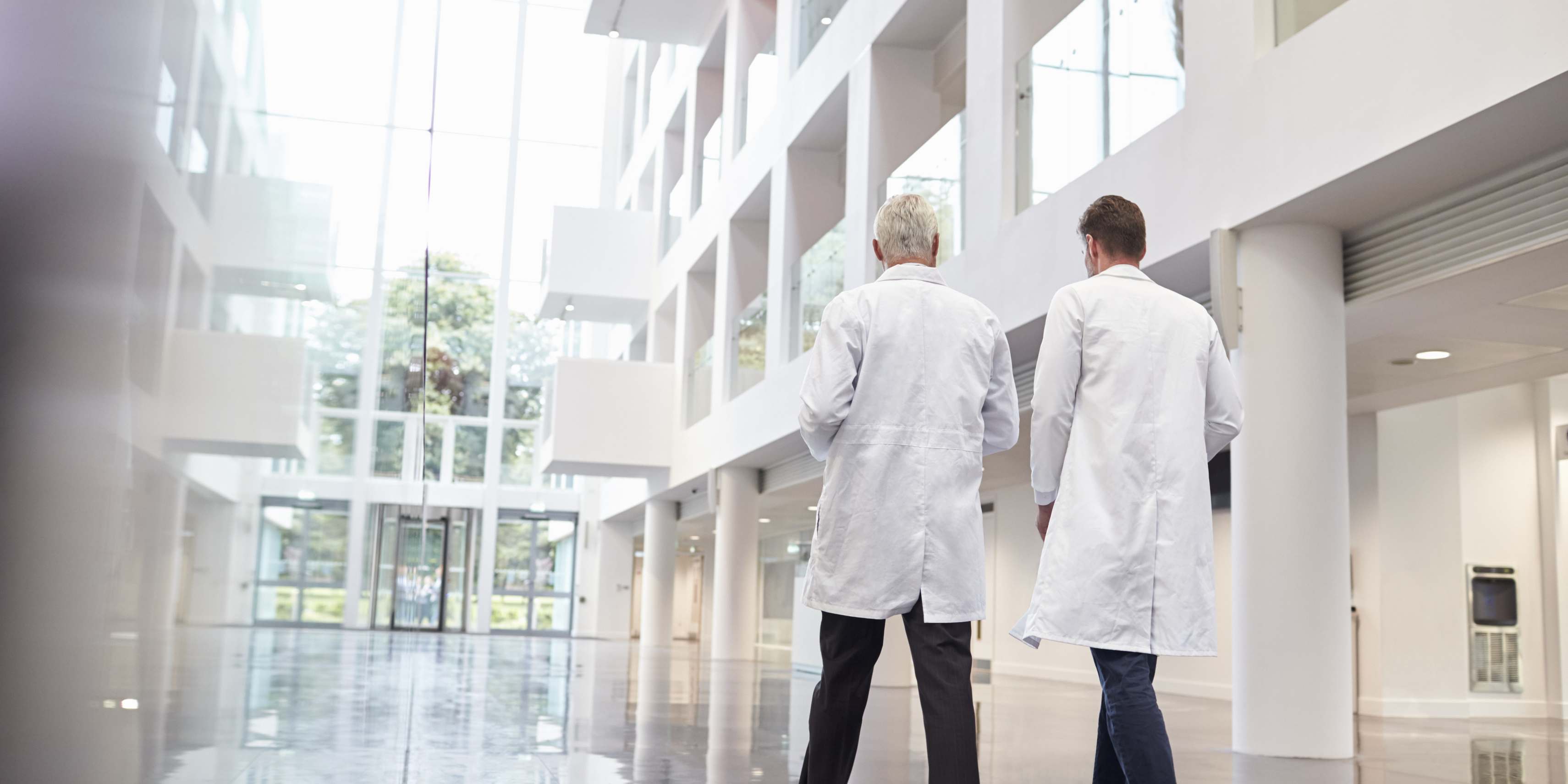 Project_Profile_CRS_BNL_-_Healthcare_2_-_Hospital
