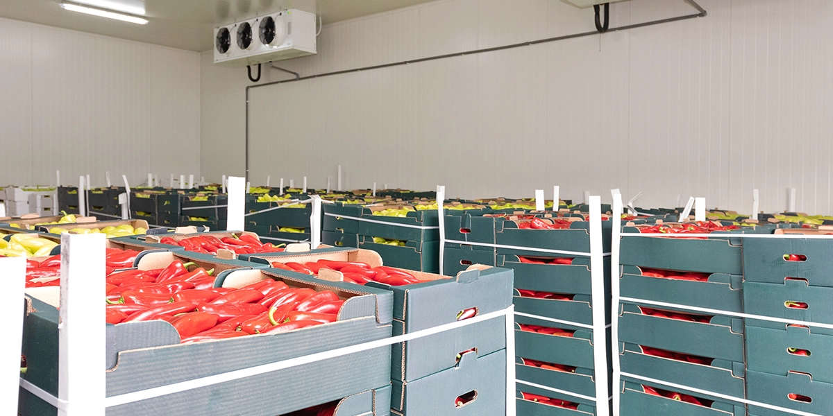Food-and-beverage_Case-study_Food-warehouse_UK-banner