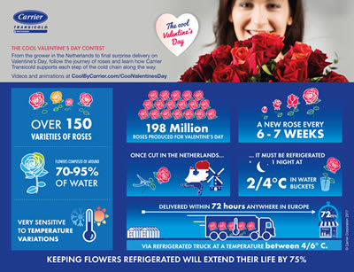 Carrier Transicold Ensures Valentines Day Keeps Coming up Roses Infographic