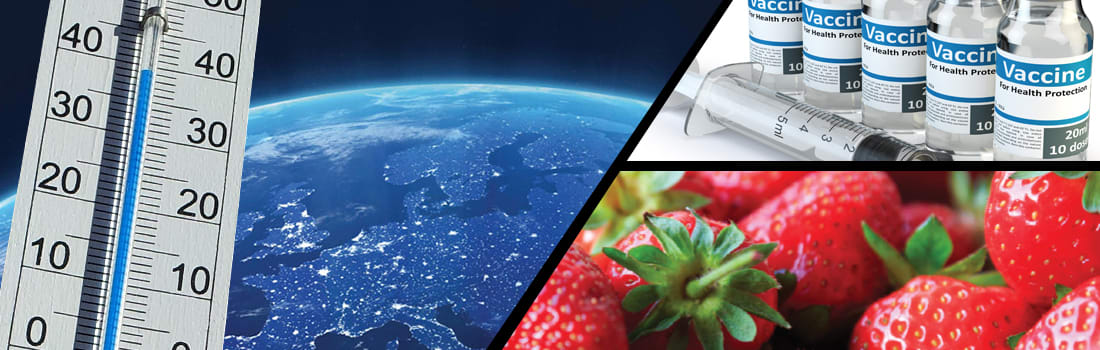 The History of Sensitech blog header thermometer, globe, vaccines and strawberries