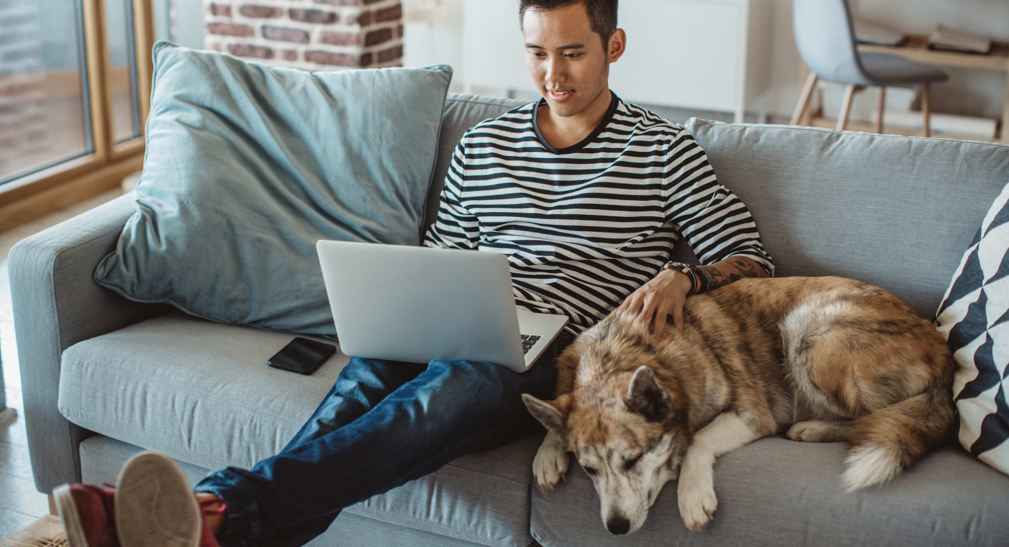man-on-couch-computer-and-dog a man sits on the couch with his dog as he researches whole-home dehumidifiers and hvac dehumidifier cost