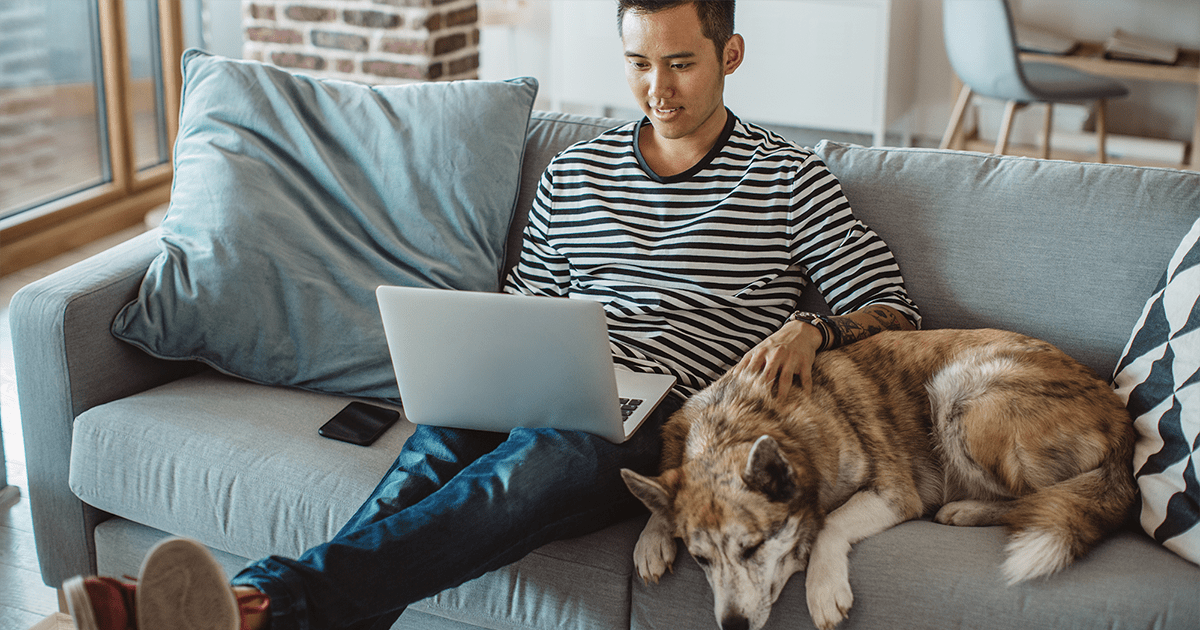 a man on the couch with his dog researches whole house dehumidifier cost a man on the couch with his dog researches whole house dehumidifier cost