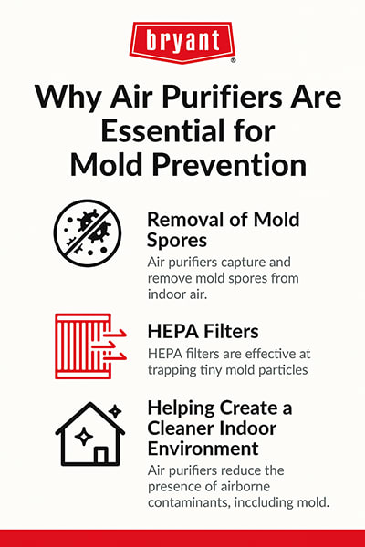 bryant-air-purifiers-mold-prevention-benefits-infographic Infographic showing how air purifiers help prevent mold by removing spores, using HEPA filters, and supporting a cleaner indoor environment.