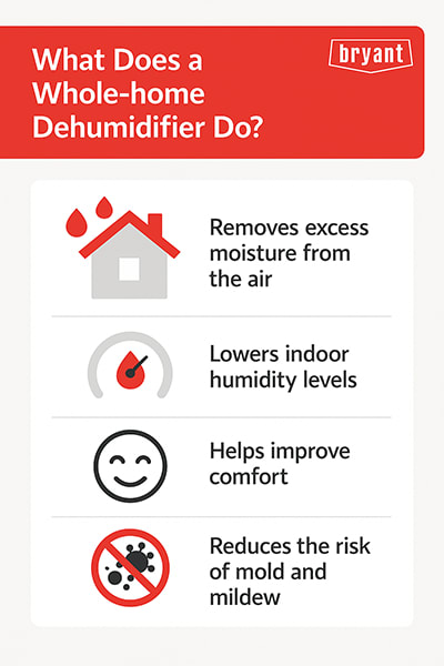what-does-a-whole-home-dehumidifier-do-bryant-infographic Bryant infographic explaining what a whole-home dehumidifier does, highlighting moisture removal, reduced humidity, increased comfort, and mold prevention.