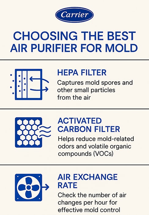 carrier best air purifier for mold infographic Carrier infographic explaining how to choose the best air purifier for mold, highlighting HEPA filters, activated carbon filters, and air exchange rate.