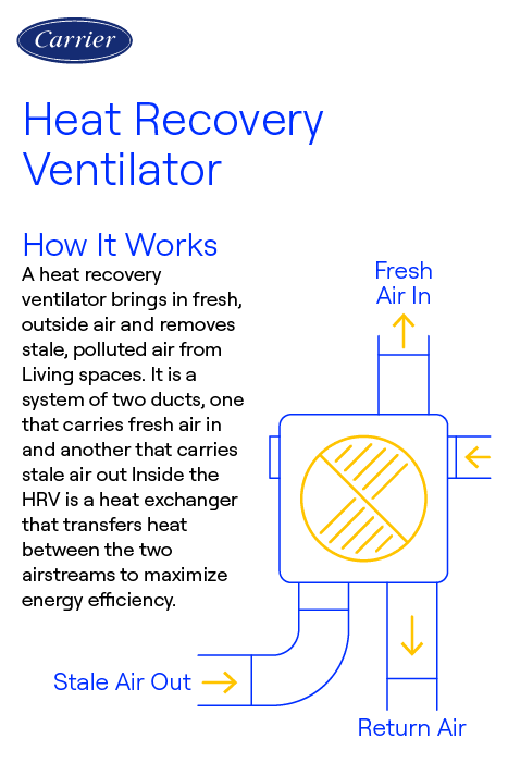 carrier-heat-recovery-ventilator-infographic Carrier-branded infographic explaining how a heat recovery ventilator (HRV) system works, bringin in fresh, outside air and removing stale, polluted air from living spaces.