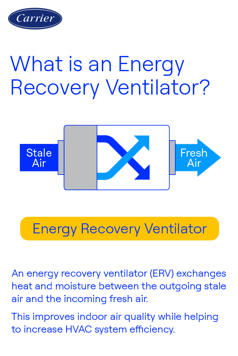 carrier-what-is-an-energy-recovery-ventilator-infographic Carrier-branded infographic explaining what an energy recovery ventilator (ERV) is, showing how it exchanges heat and moisture between stale indoor air and fresh outdoor air to improve indoor air quality and HVAC efficiency.