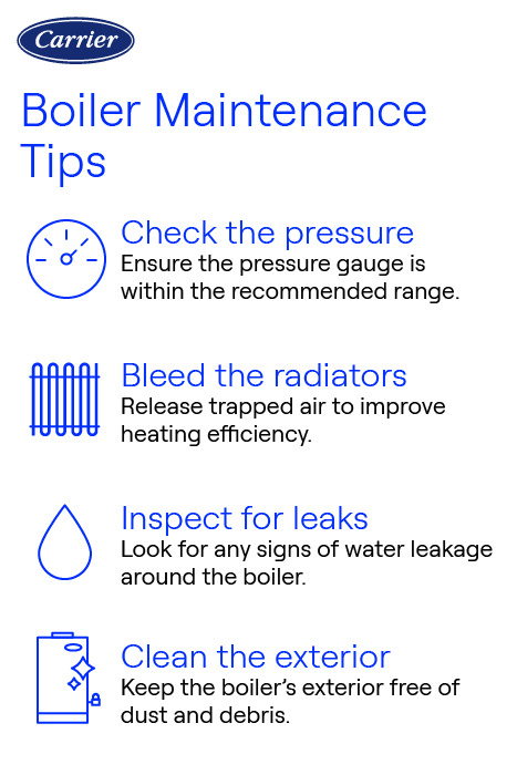Carrier Boiler Maintenance Tips Infographic Carrier-branded infographic with boiler maintenance tips: check pressure, bleed radiators, inspect for leaks, and clean the exterior.