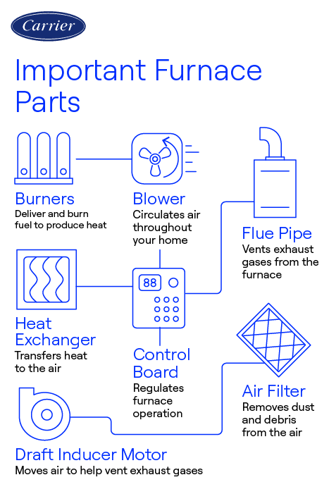 carrier-important-furnace-parts-infographic Carrier-branded infographic illustrating important furnace parts like burners, blower, heat exchanger, flue pipe, air filter, control board, and draft inducer motor.