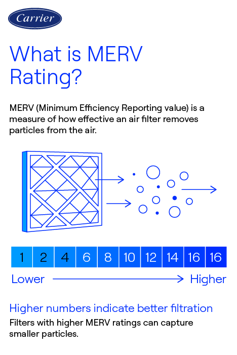 carrier-MERV-Rating-Explanation-Infographic Carrier infographic explaining MERV rating as a value of how effectively an air filter removes particles from the air, with higher MERV numbers capturing smaller particles with better air filtration.