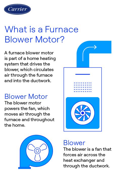 Carrier Furnace Blower Motor Explanation Infographic Carrier-branded infographic explaining what a furnace blower motor is and how it circulates heated air through ducts.
