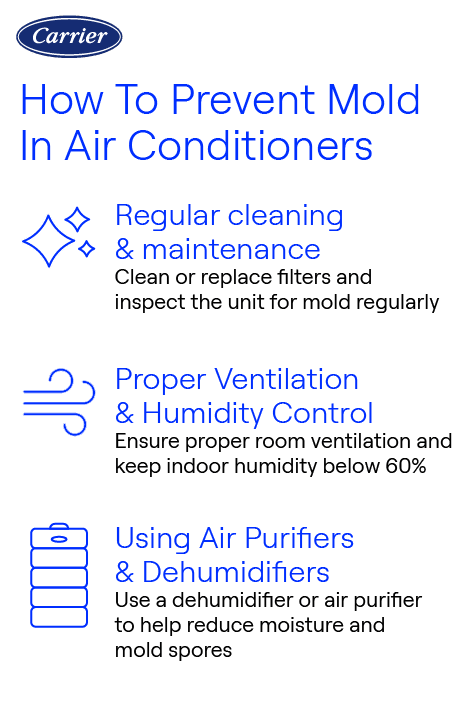 carrier-prevent-mold-in-ac-infographic Carrier infographic illustrating how to prevent mold in air conditioners through regular cleaning, proper ventilation, and using air purifiers.