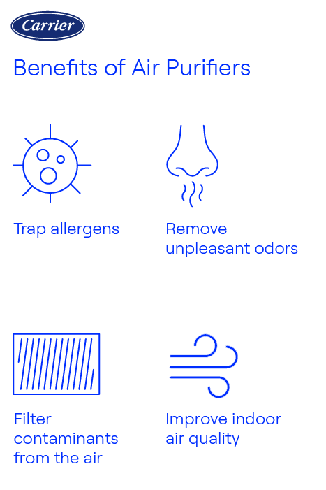 carrier-air-purifier-benefits-infographic An infographic by Carrier presents the benefits of air purifiers, including trapping allergens, removing unpleasant odors, filtering contaminants from the air, and improving indoor air quality.