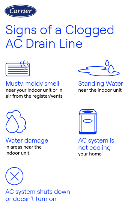 carrier-signs-of-a-clogged-ac-drain-line-infographic Carrier-branded infographic showing five signs of a clogged AC drain line, including musty smells, standing water, water damage, poor cooling, and system shutdown.